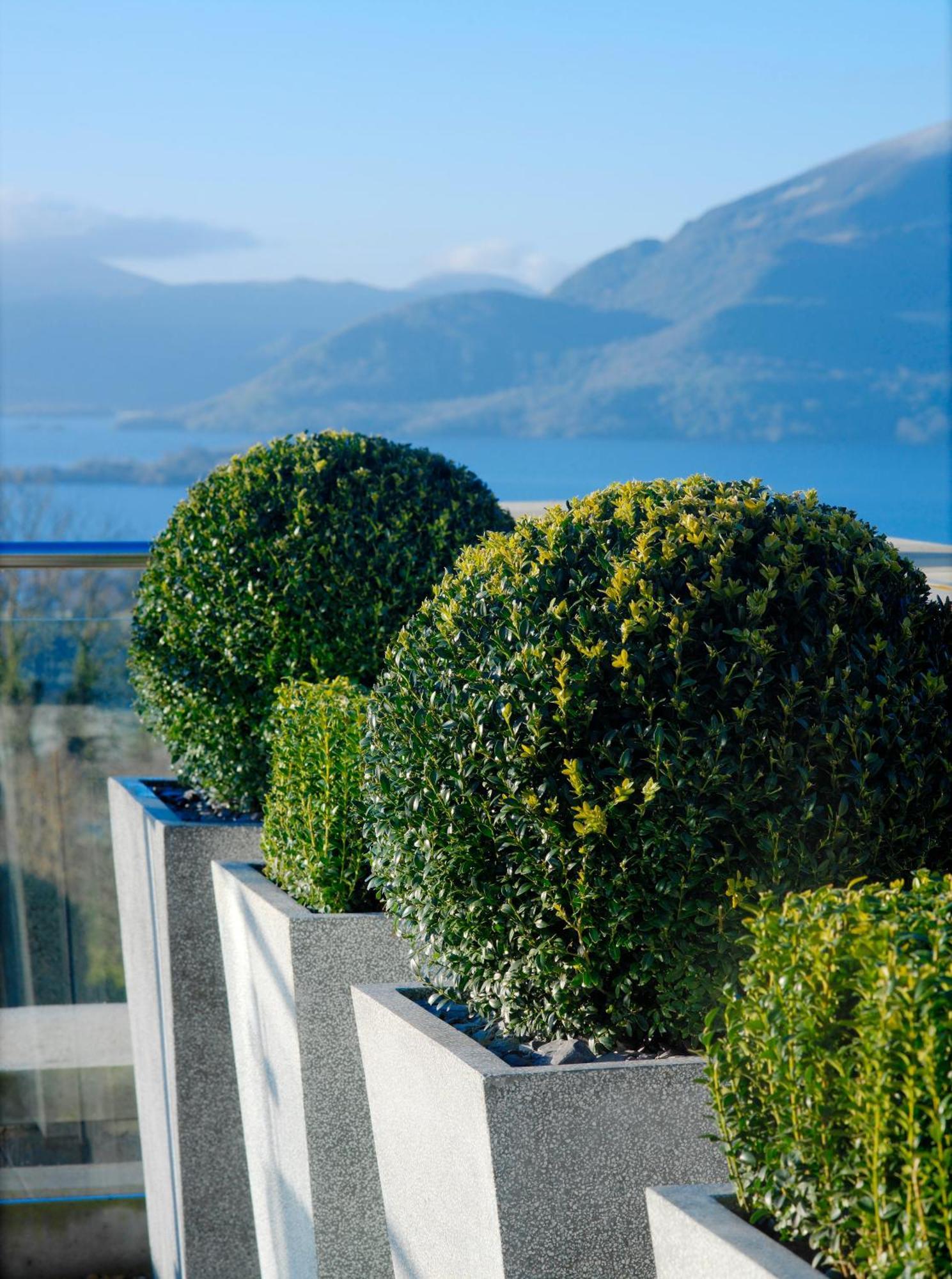 Aghadoe Heights Hotel & Spa Killarney Eksteriør billede Boxwood